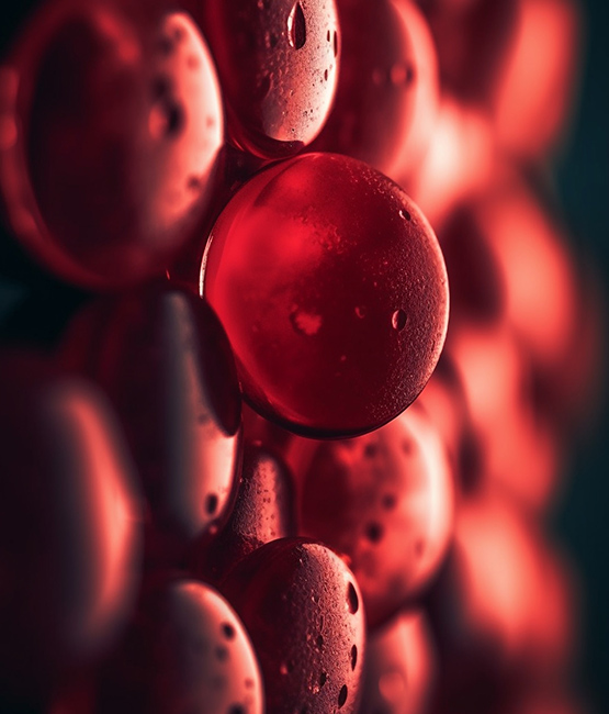 GLIKOKALIKS W KOMÓRKACH ŚRÓDBŁONKA NACZYŃ KRWIONOŚNYCH